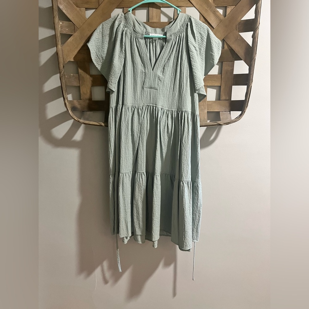 Calvin Klein Sage Green Dress
